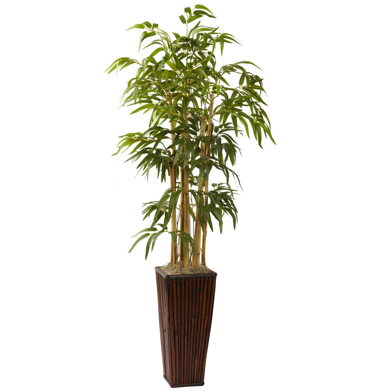 World Menagerie Bamboo Tree in Planter & Reviews Wayfair